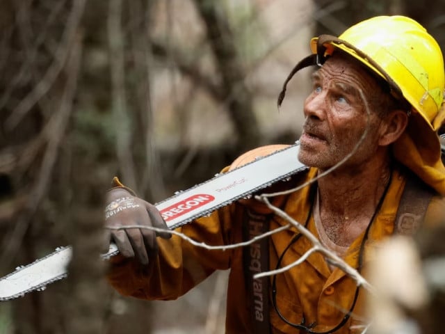 mill creek california u s august 3 2024 photo reuters